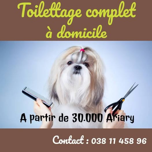 Toilettage de votre chien à domicile Cani Feli Life
