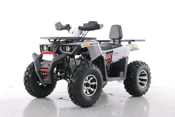 TAO MOTOR - BRAVES 200