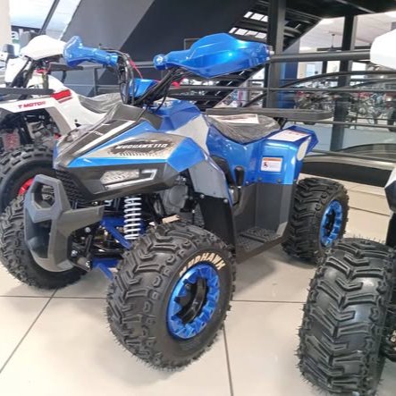 TAO MOTOR - MUDHAWK 110
